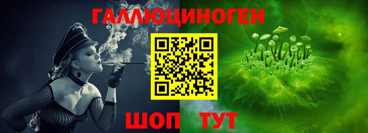 Псилоцибиновые грибы Cubensis  Вход с VPN  Бор  Галлюциногенные грибы мухоморы 